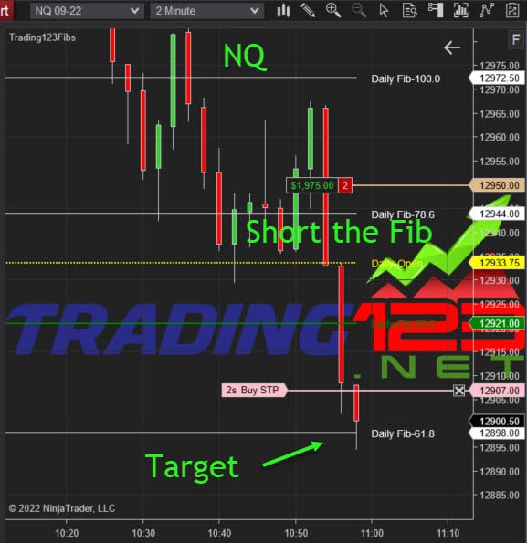 Fibonacci Indicator NinjaTrader
