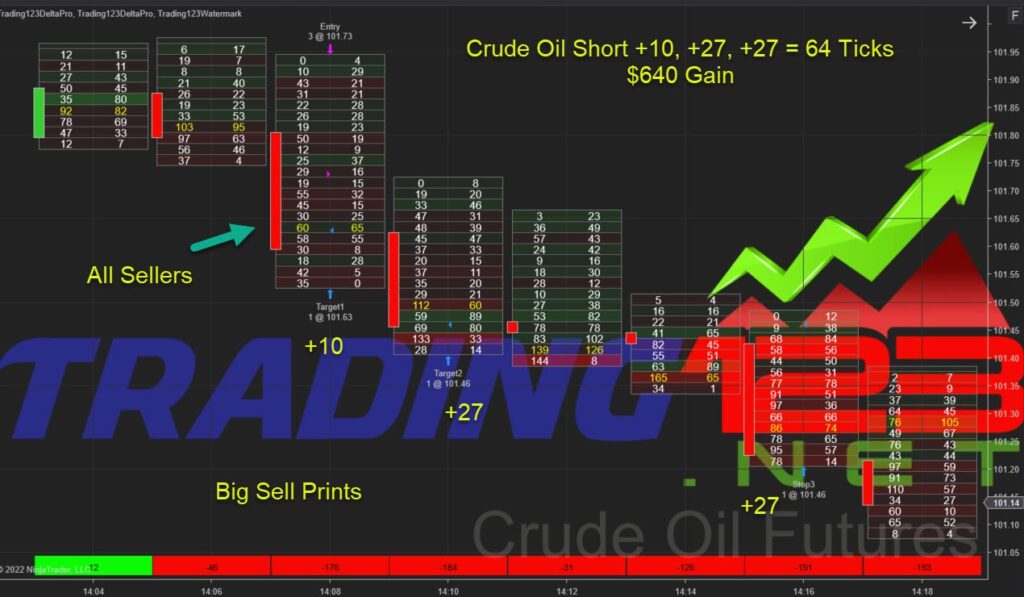 Volume Delta Indicator NinjaTrader