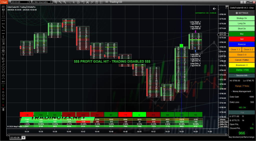 ES 966 Order Flow NinjaTrader