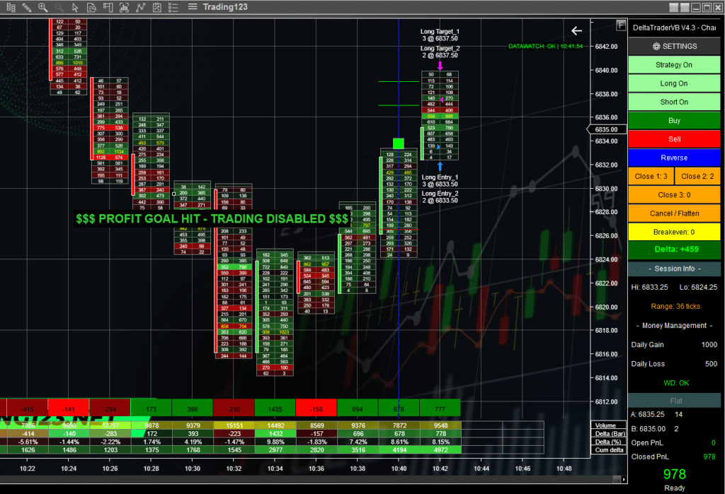 Order Flow Strategy NinjaTrader 8 1