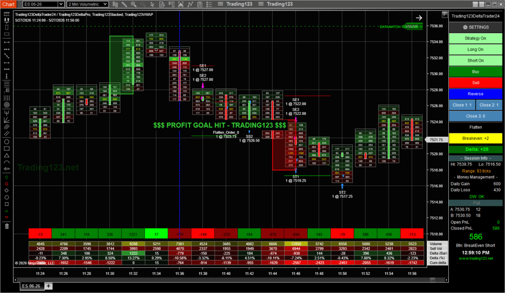 Order Flow Strategy NinjaTrader 8 2
