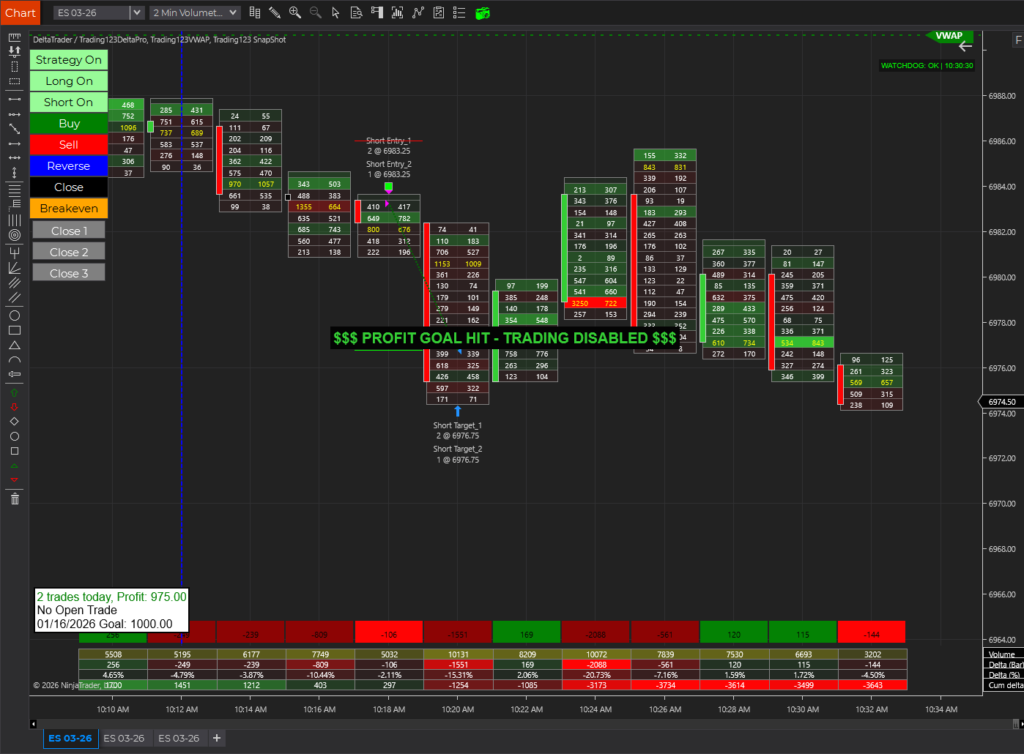 Order FLow ES Strategy Ninjatrader