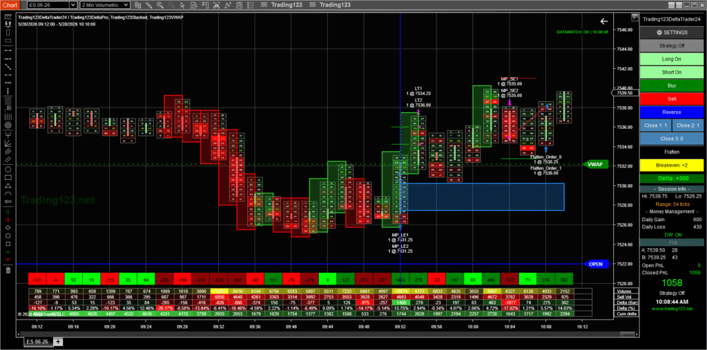 Order Flow Strategy 1k ES