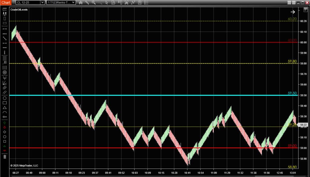 Crude Oil Levels NinjaTrader